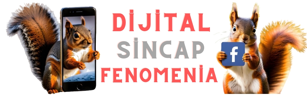 Sosyal Medya Hizmetleri | Dijital Sincap 